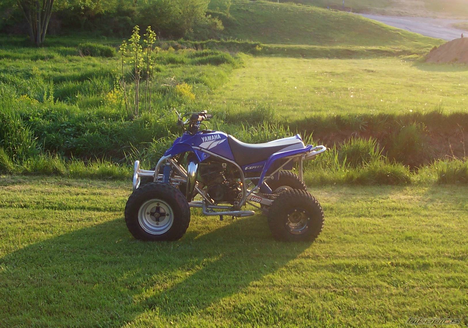 Photo 169772
