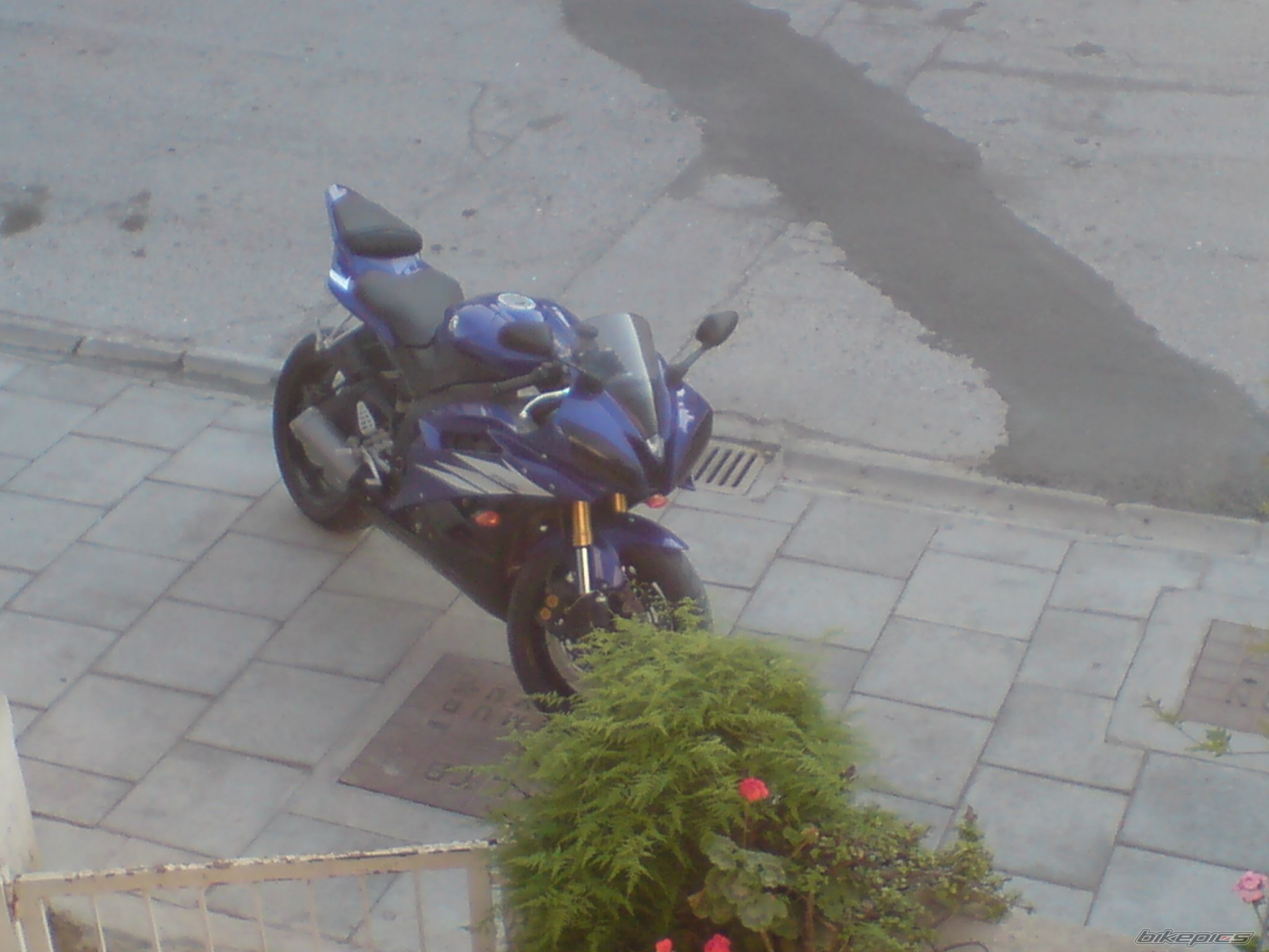 Photo 1697789