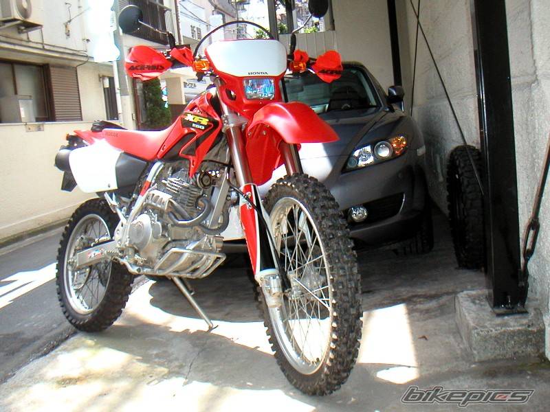 Photo 169781