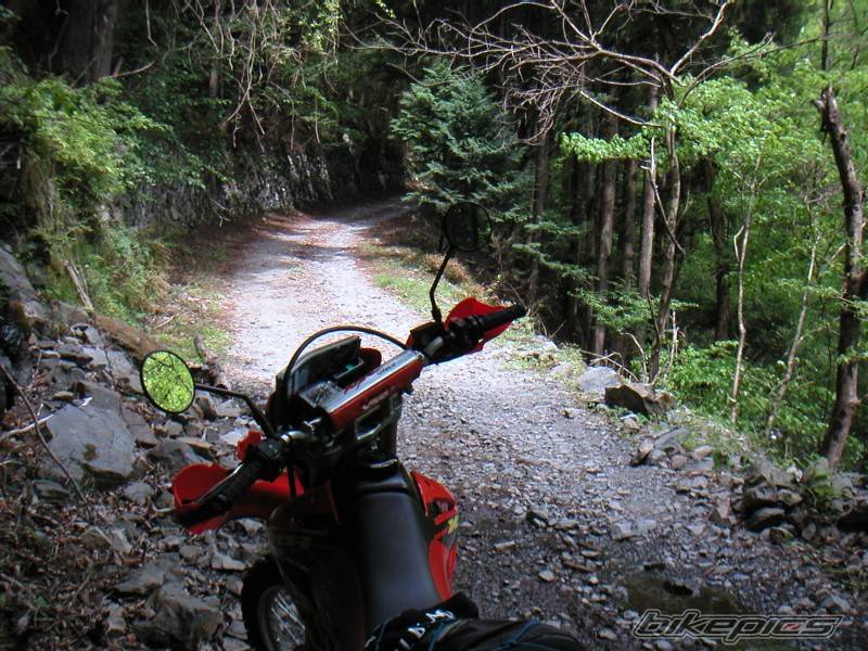 Bike Photo 169783