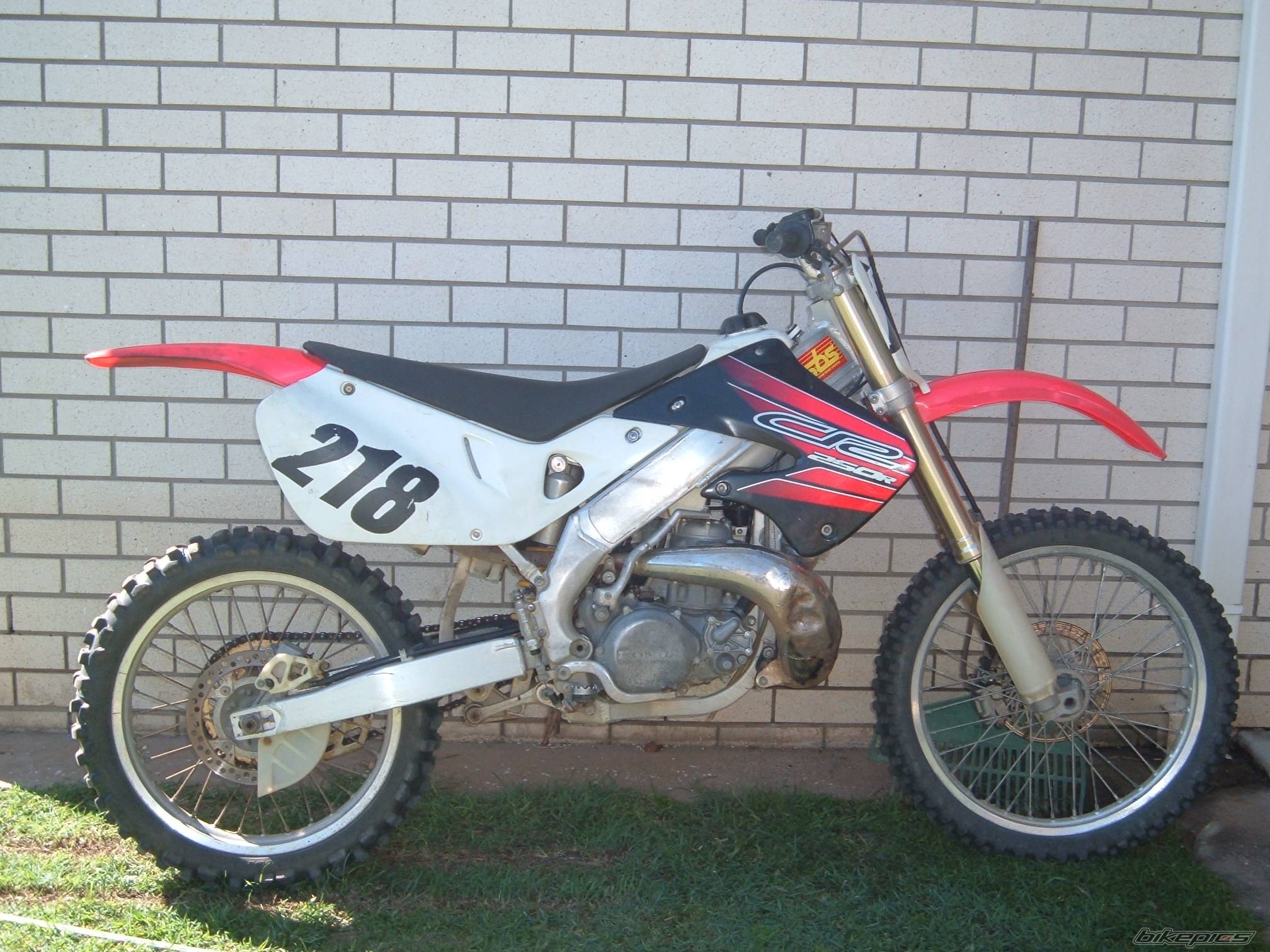 Photo 169796