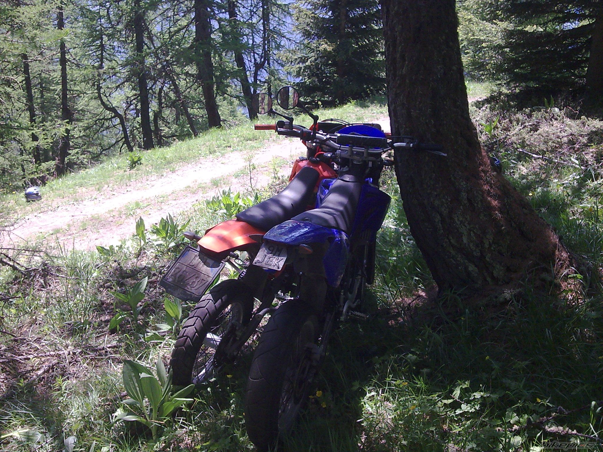 Photo 1698260