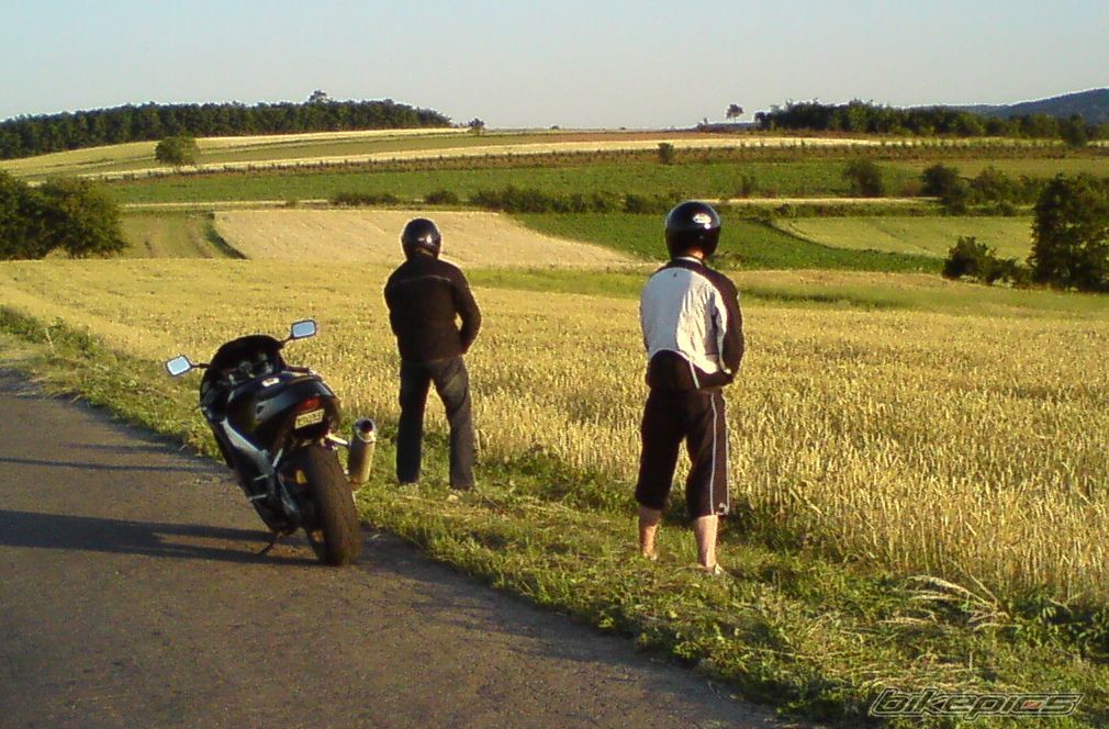 Photo 1698271