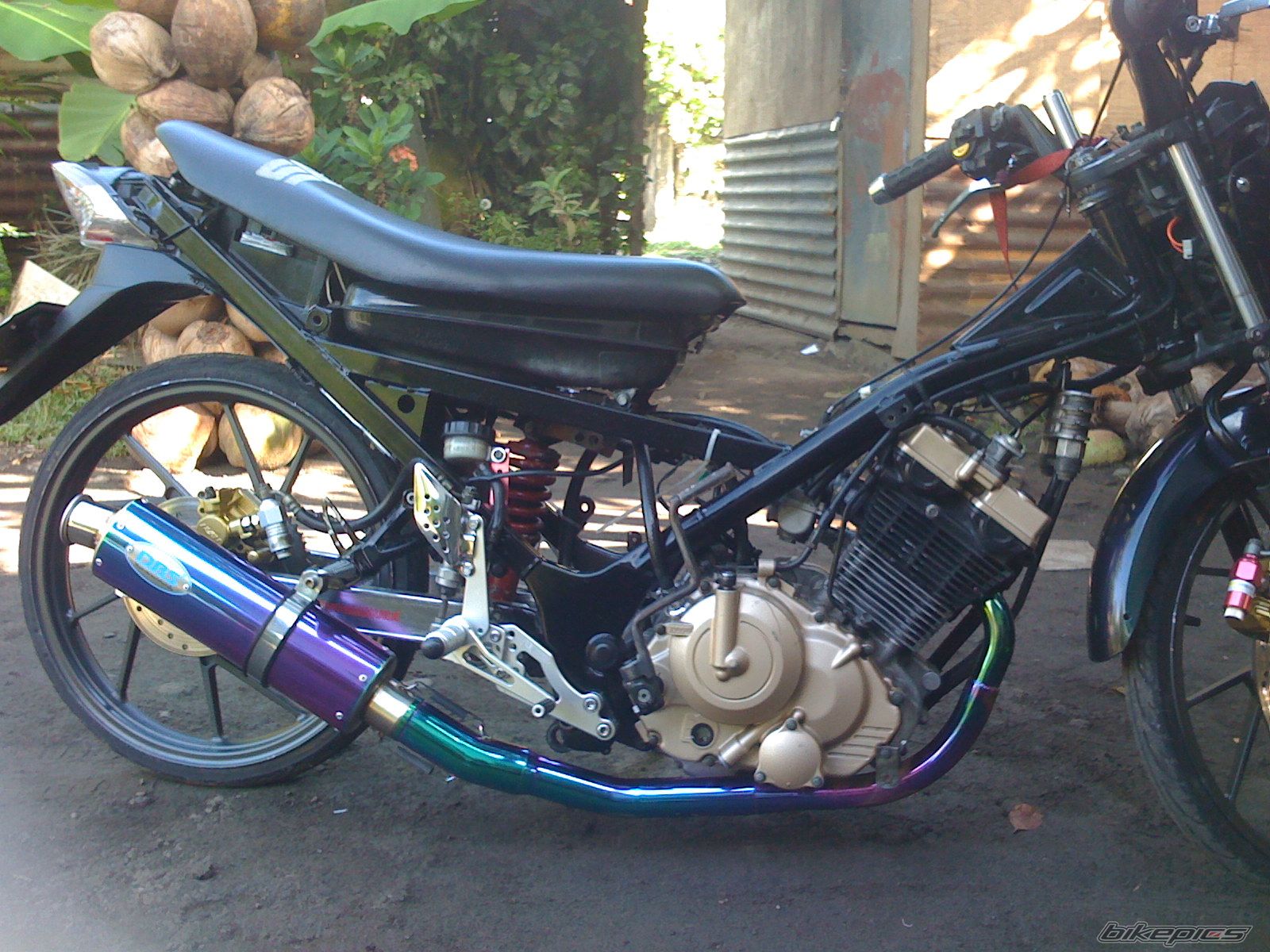 Photo 1698305