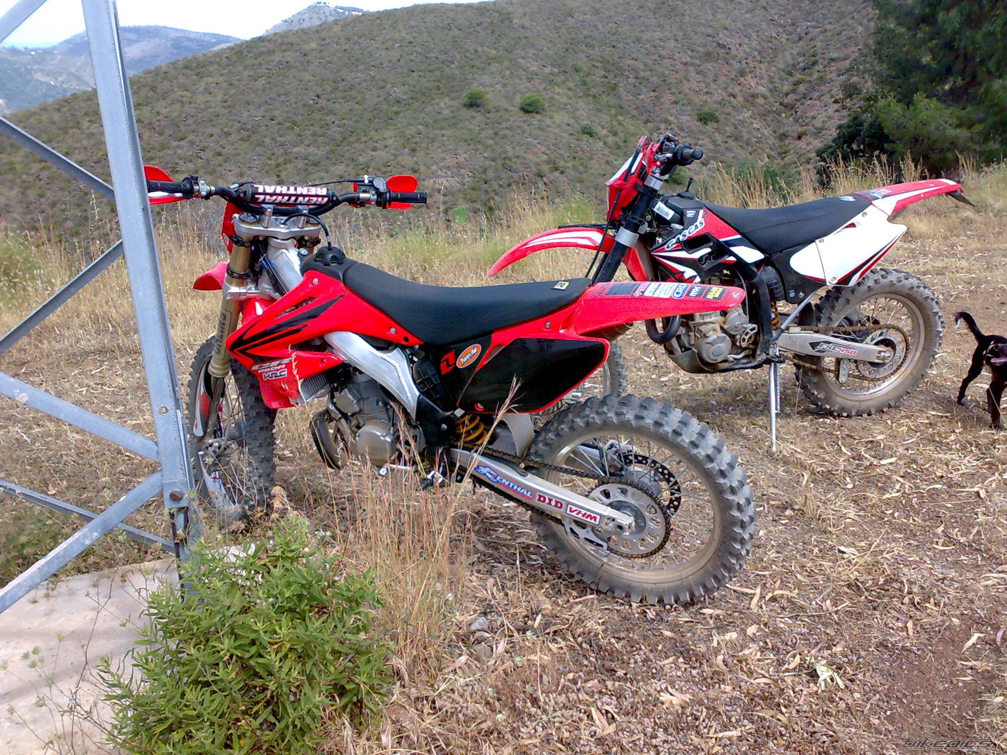 Photo 1698371