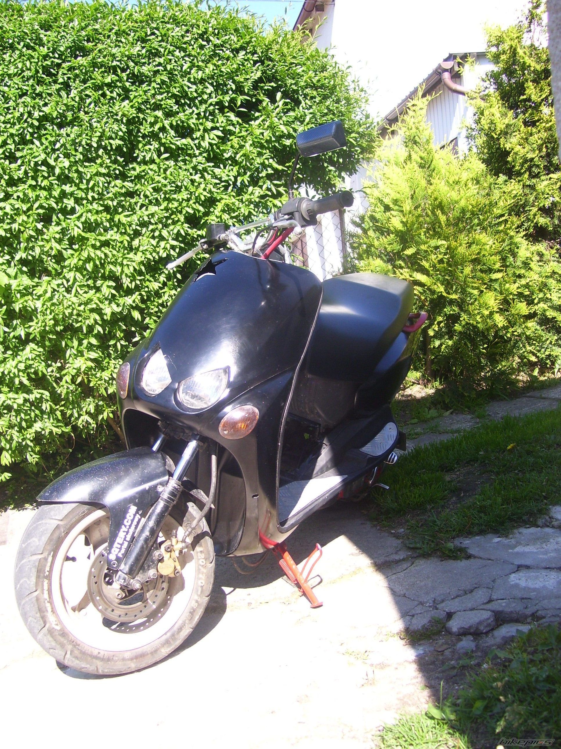 Photo 1698385