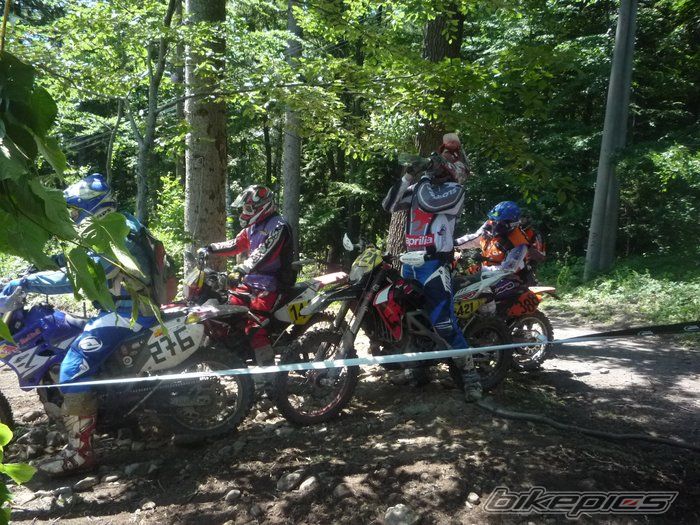 Photo 1698431