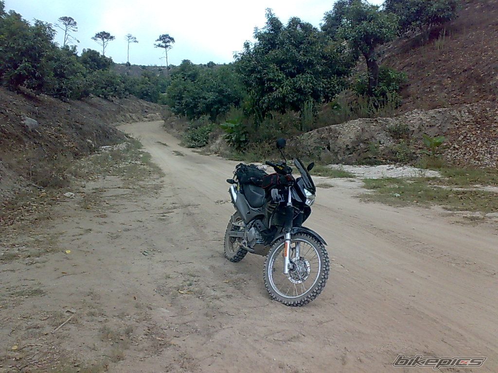 Photo 1698642