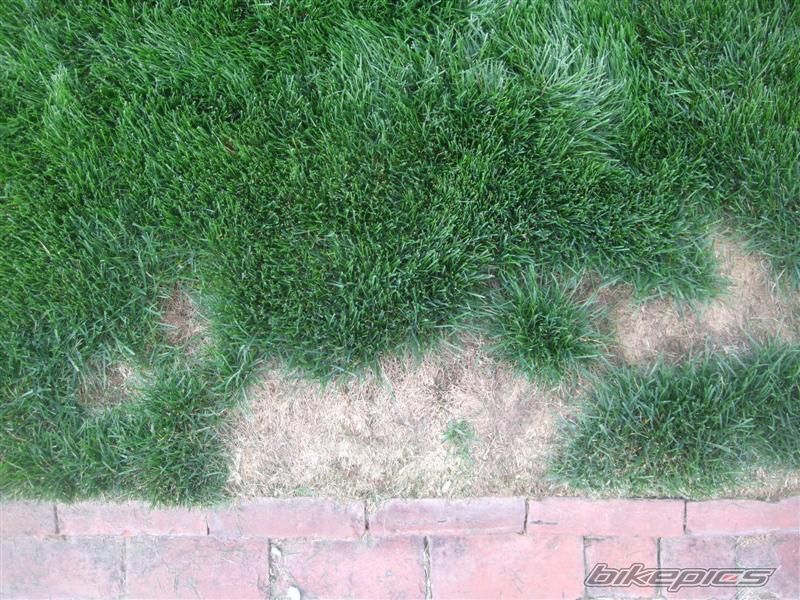 Photo 1698717