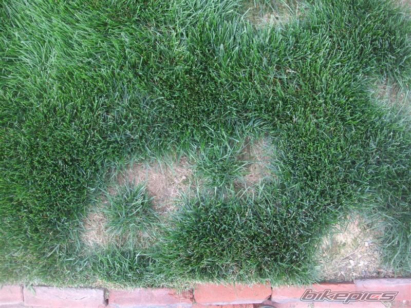 Photo 1698718