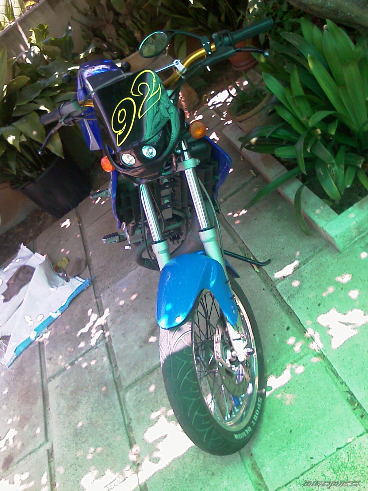 Photo 1698849