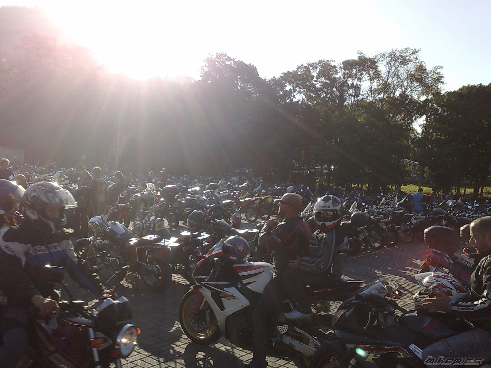 Photo 1698935