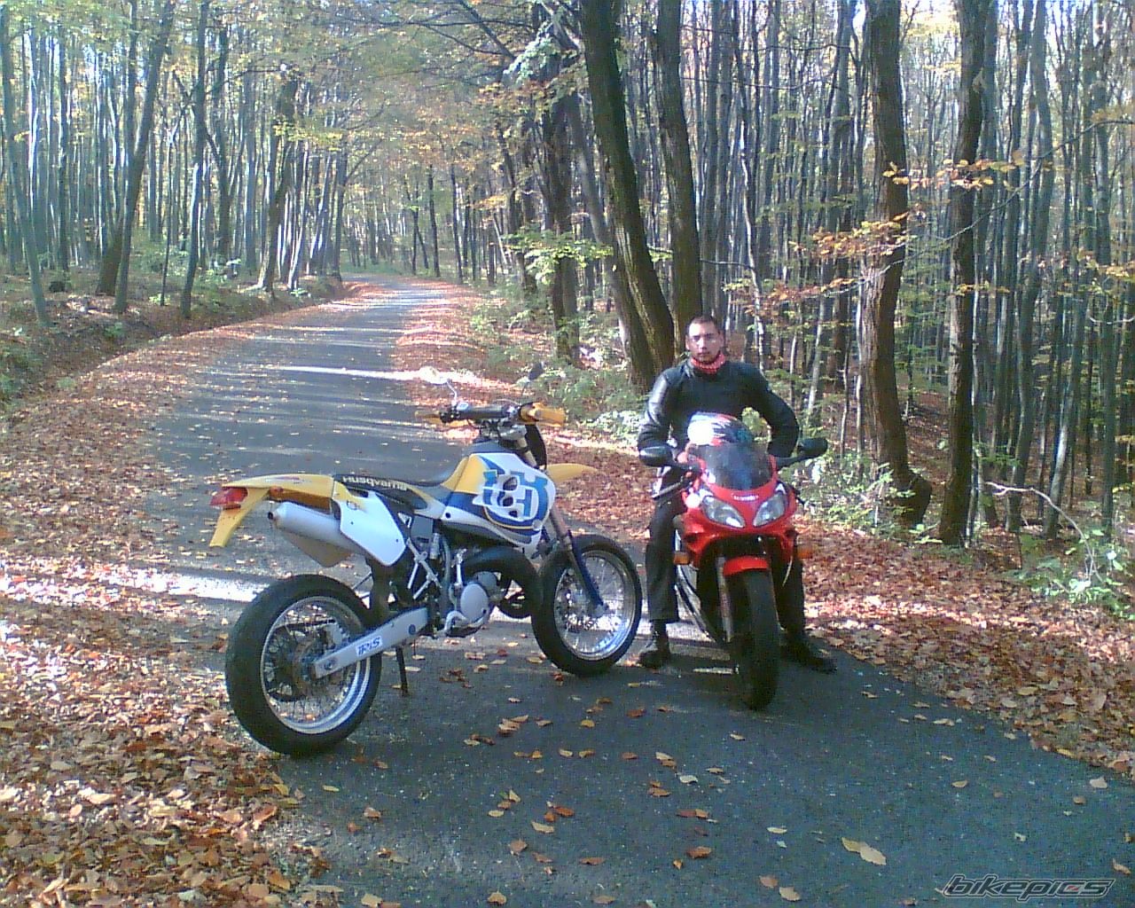 Photo 1698956