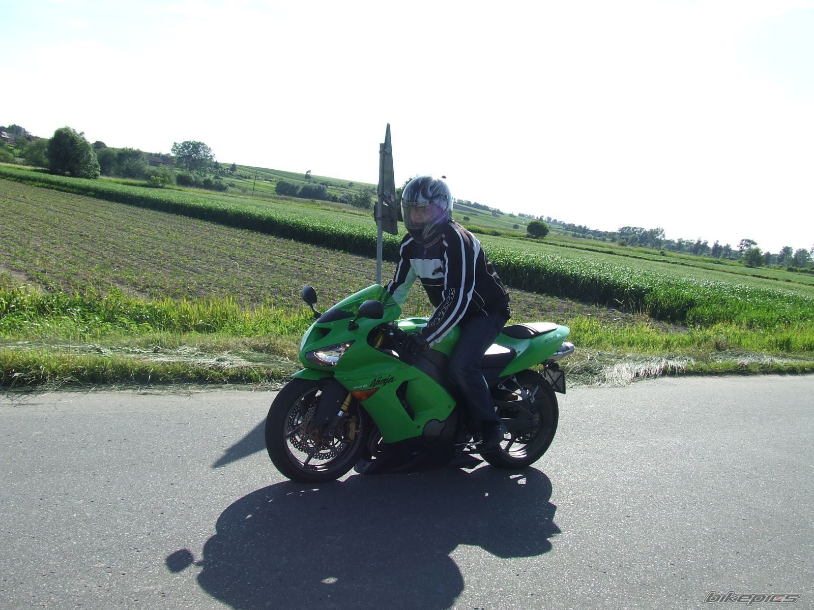 Photo 1699172