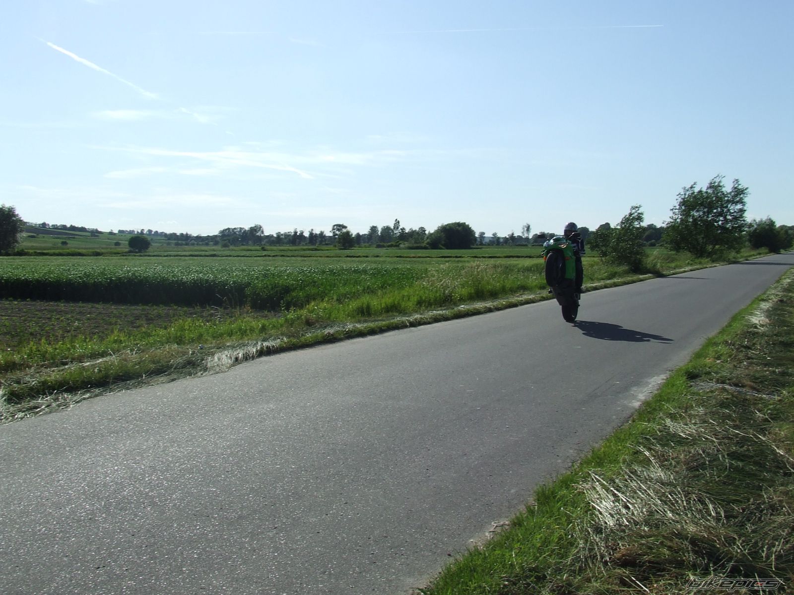 Photo 1699185
