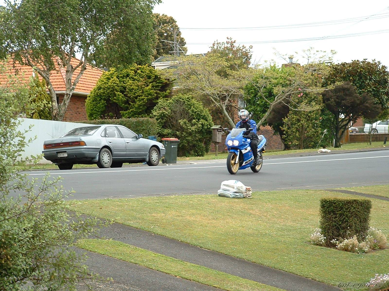 Photo 169921