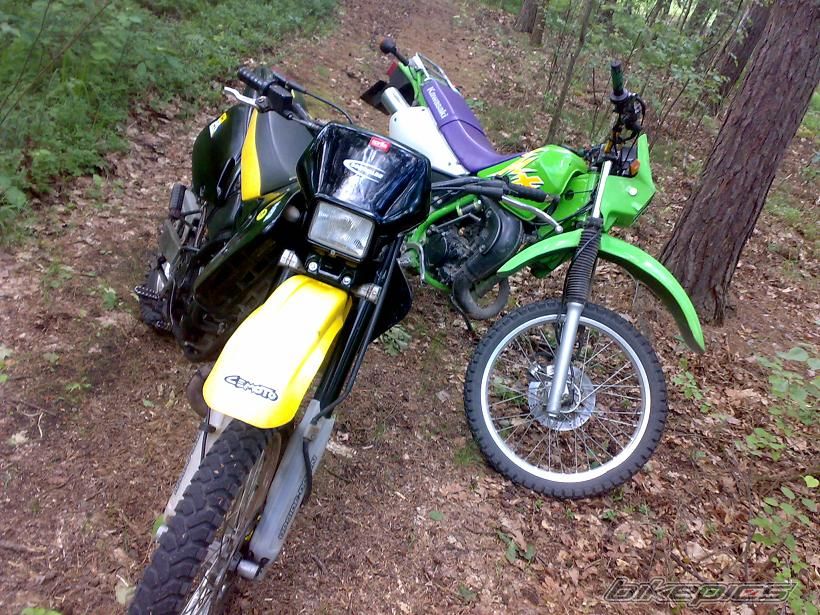Photo 1699252