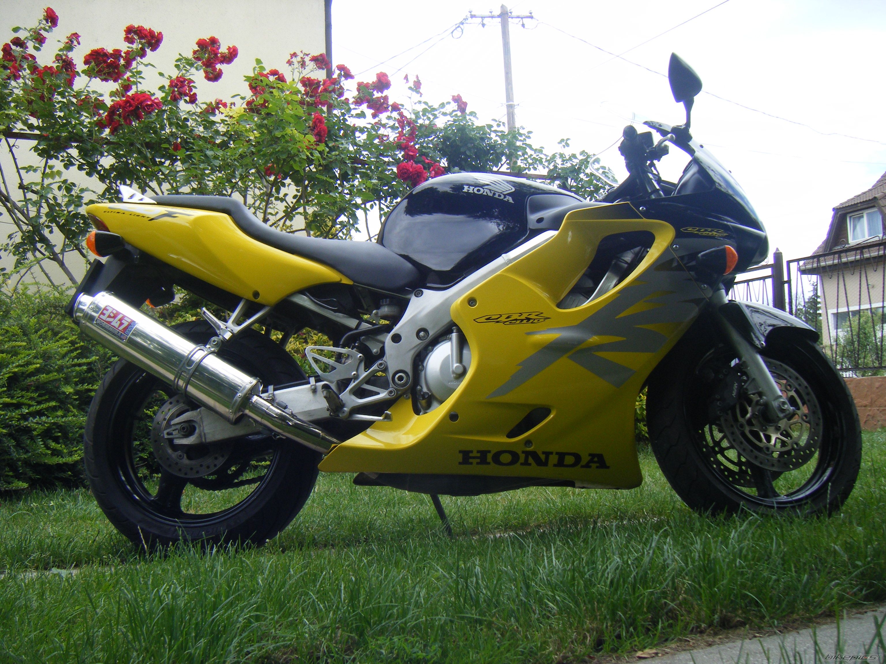 Photo 1699384