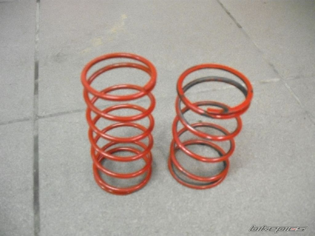 Photo 1699392