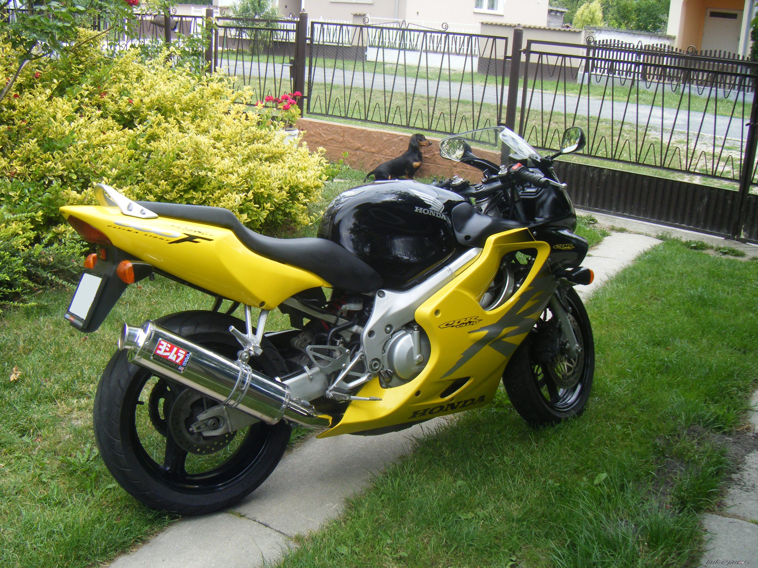 Photo 1699408