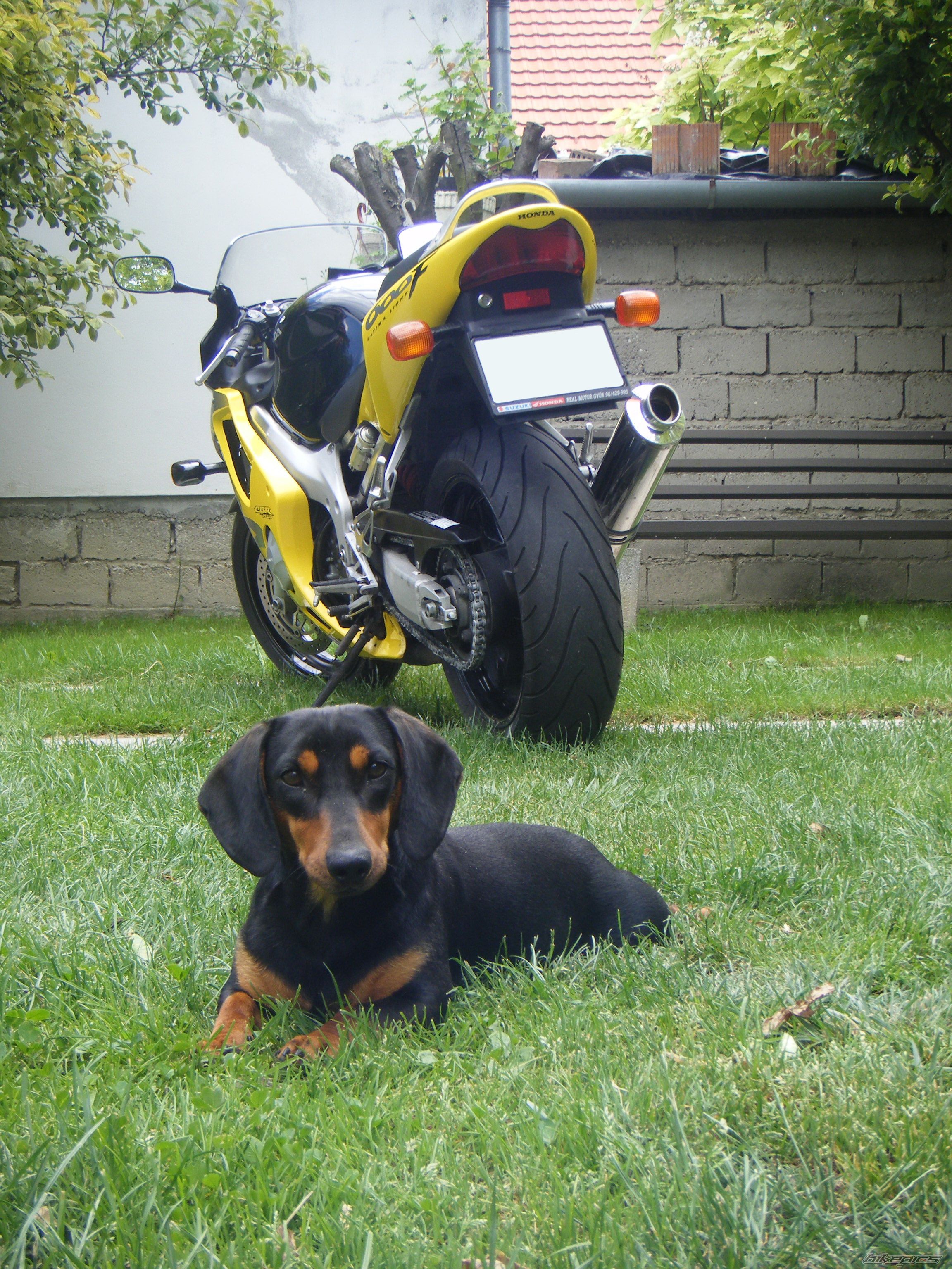 Photo 1699413