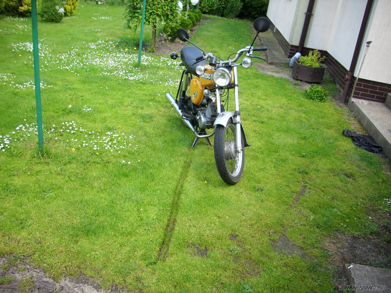 Photo 1699509