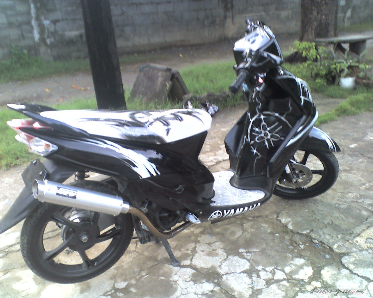Photo 1699519