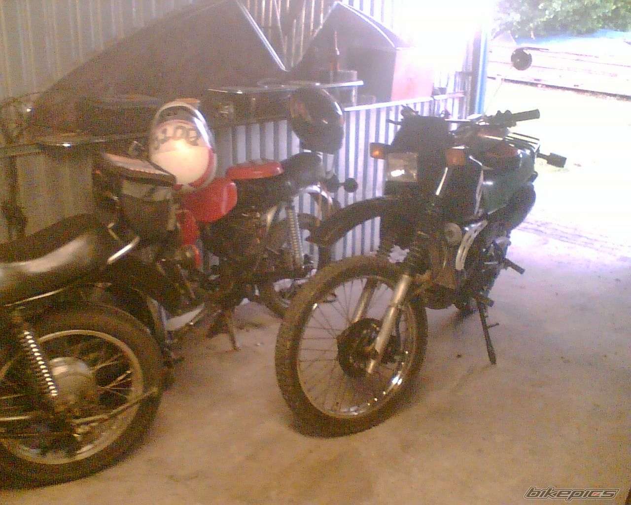 Photo 1699569