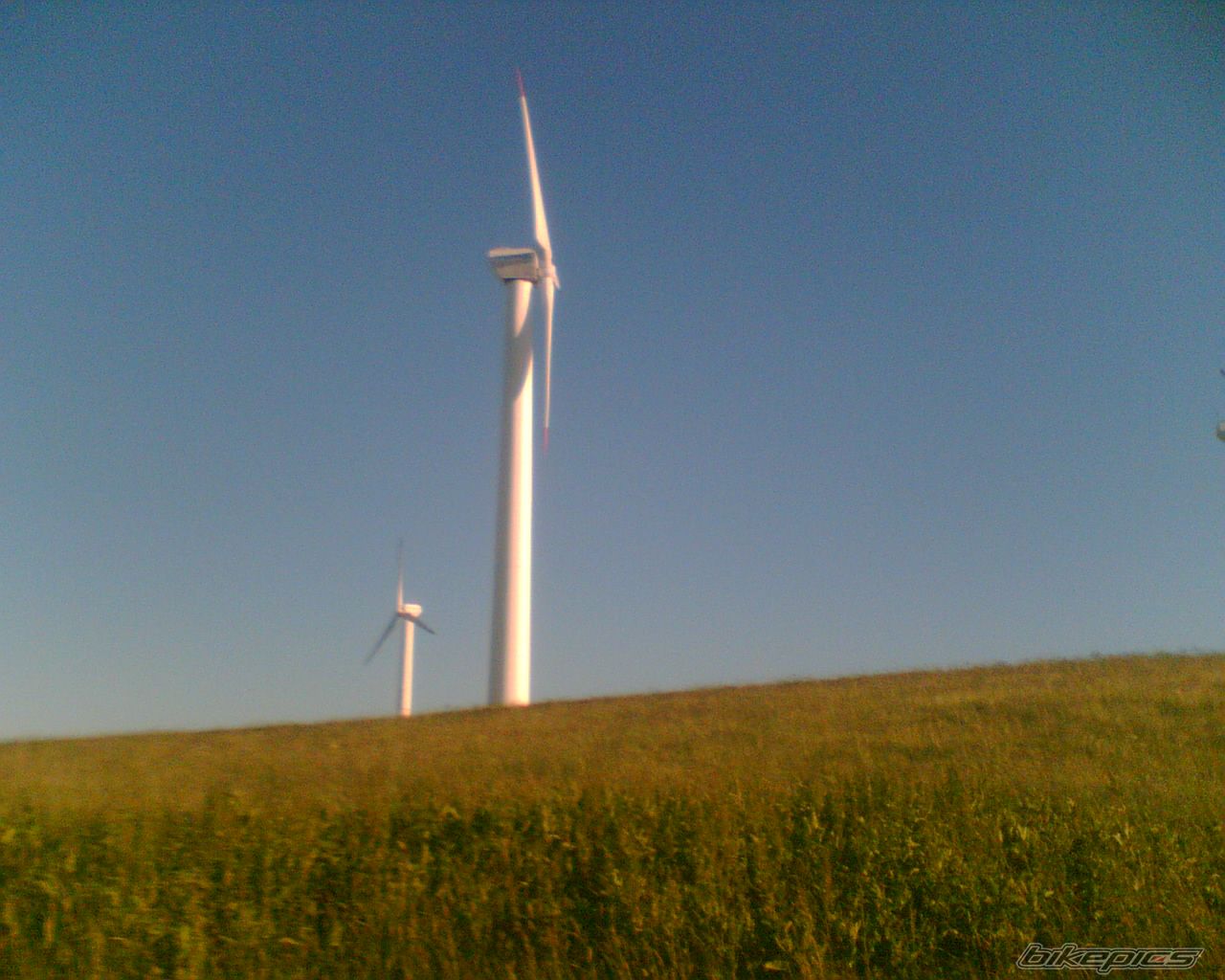 Photo 1699581