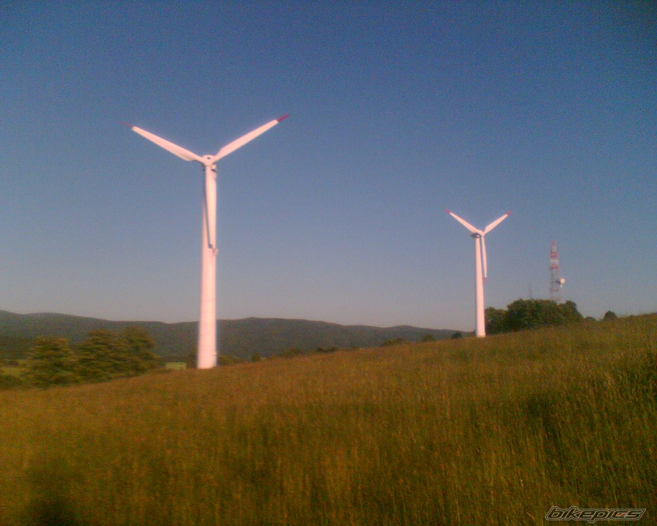 Photo 1699585