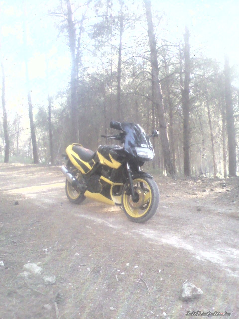 Bike Photo 1699726
