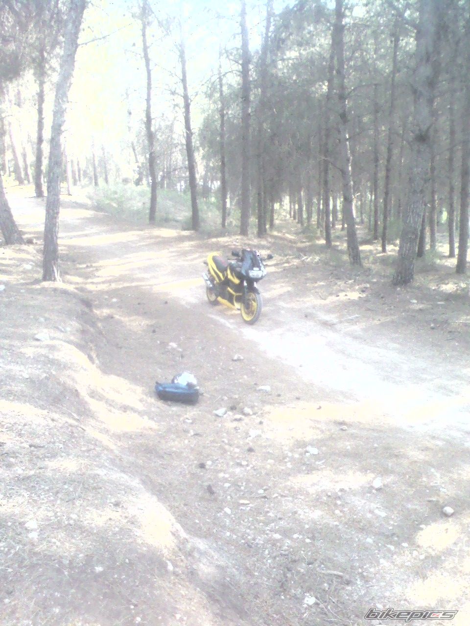 Photo 1699729