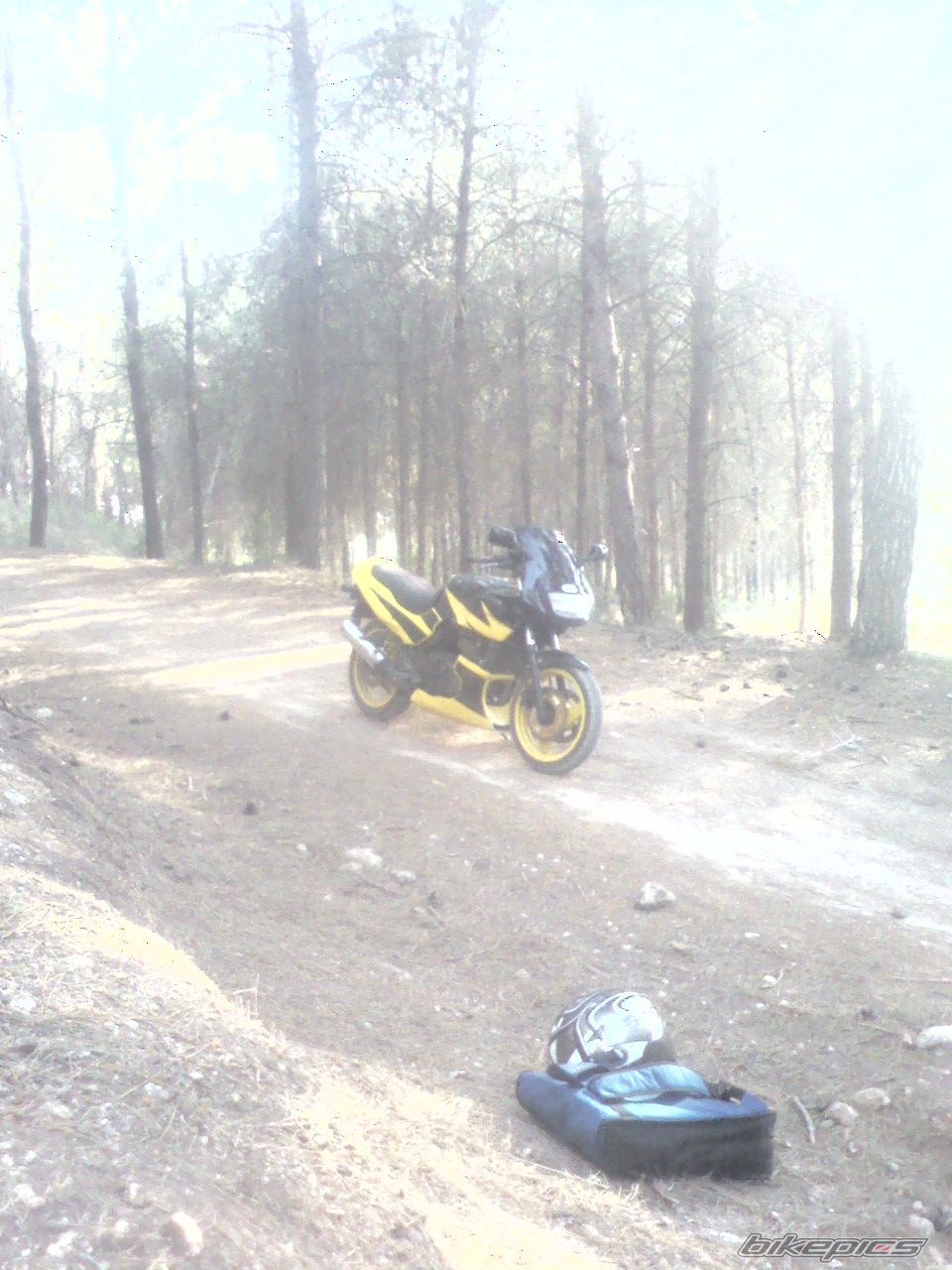 Photo 1699730