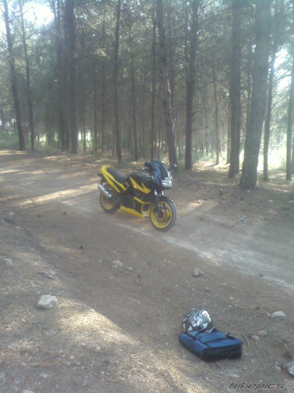 Photo 1699732