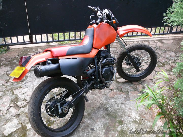 Photo 1699739