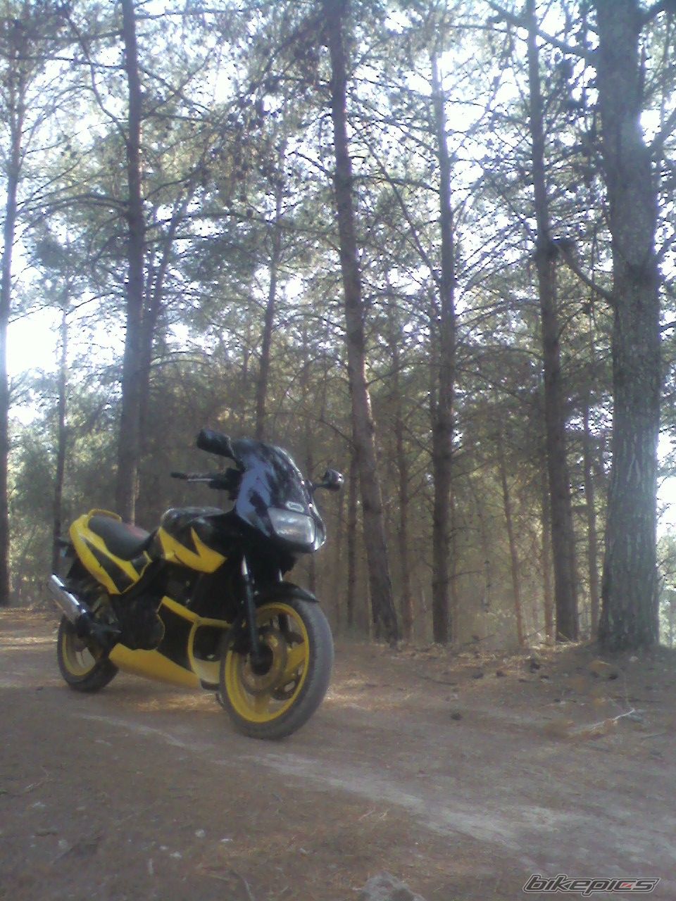 Bike Photo 1699740