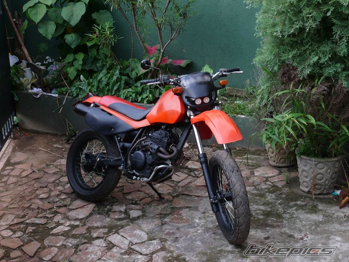 Photo 1699741