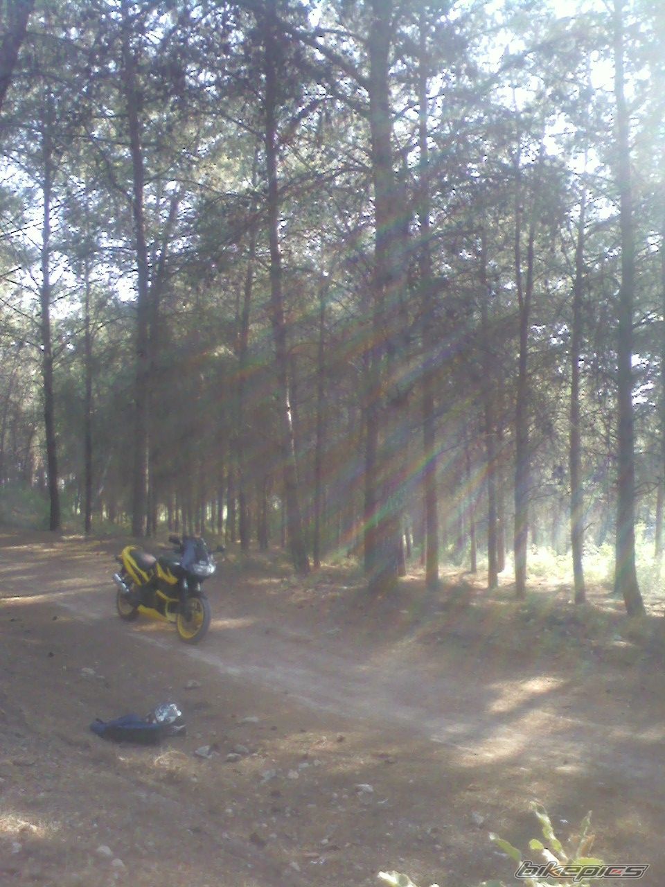 Bike Photo 1699742