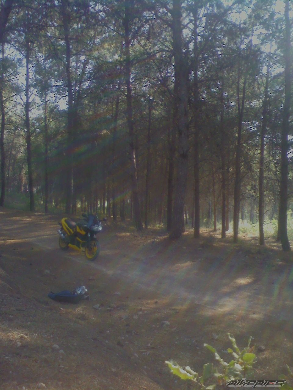 Bike Photo 1699743