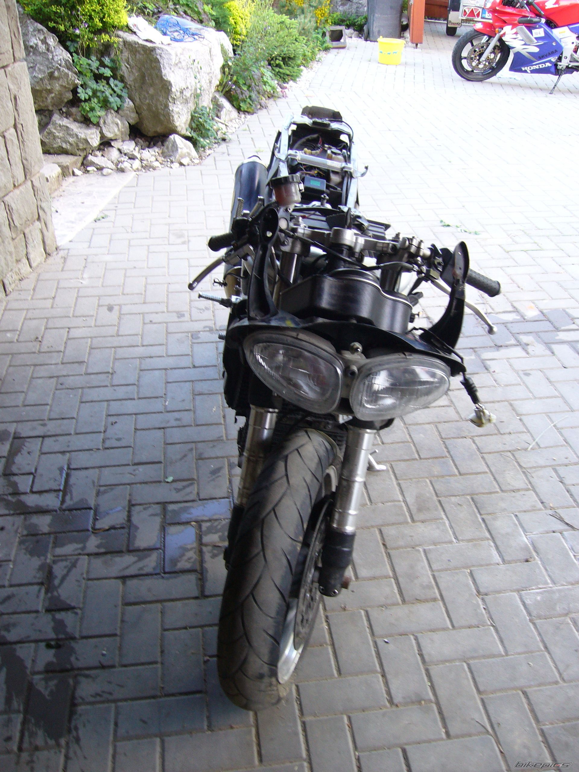 Photo 1699785