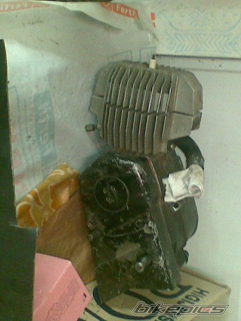 Photo 1699850