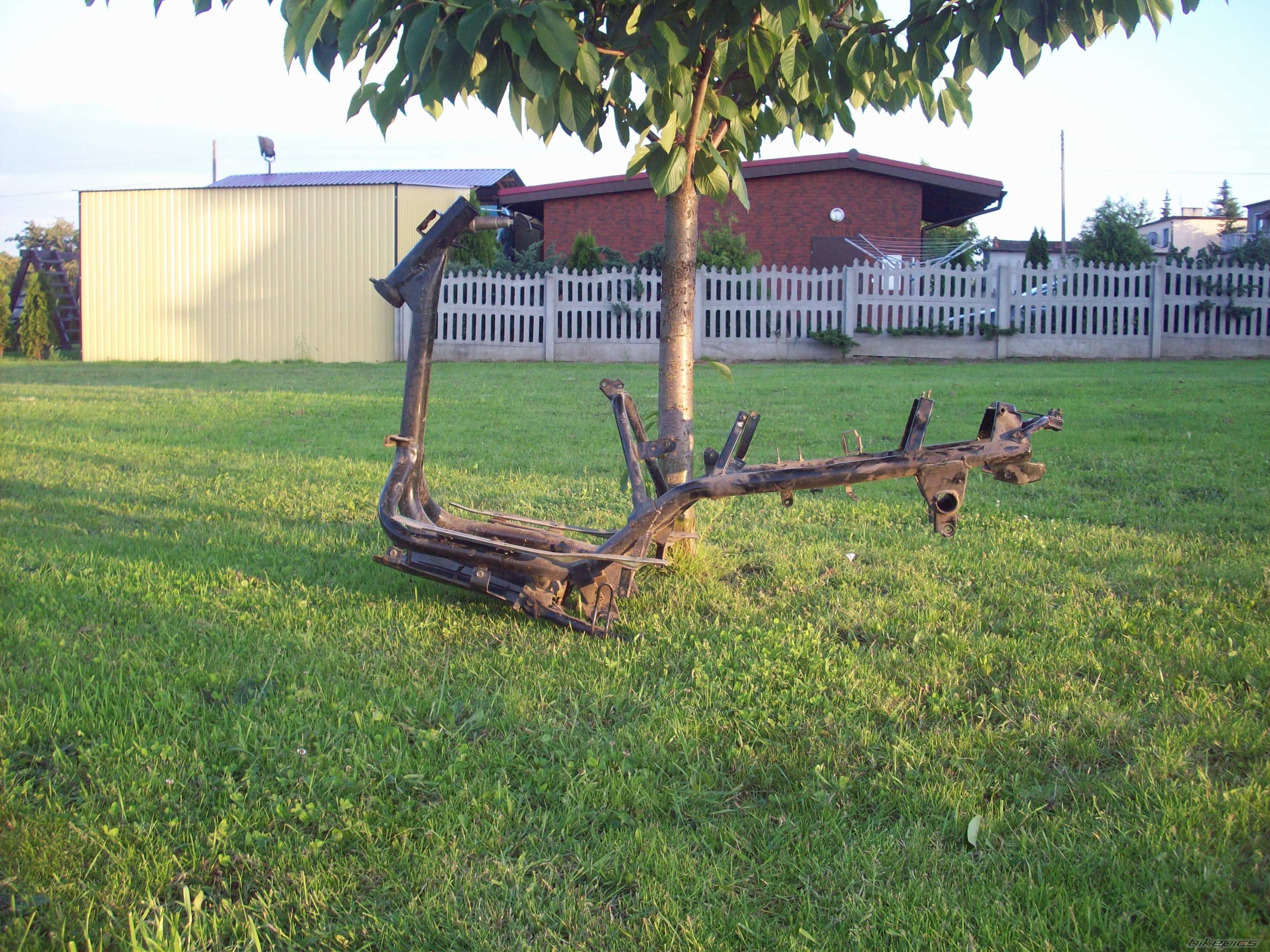 Photo 1699917