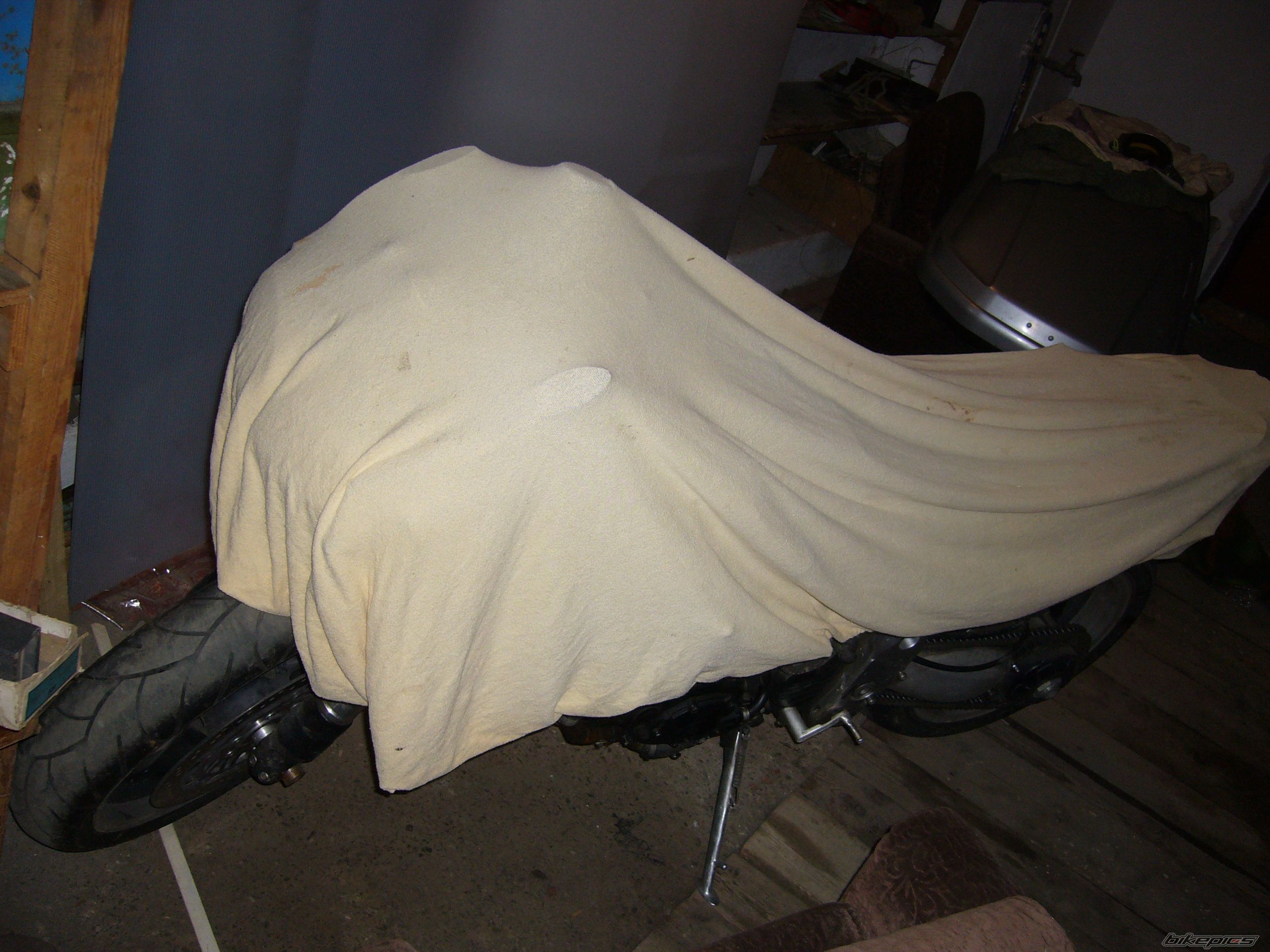 Photo 1699920