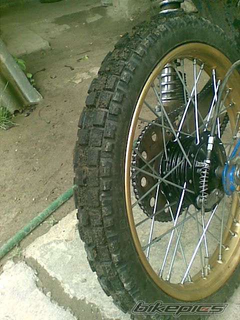 Photo 1699921