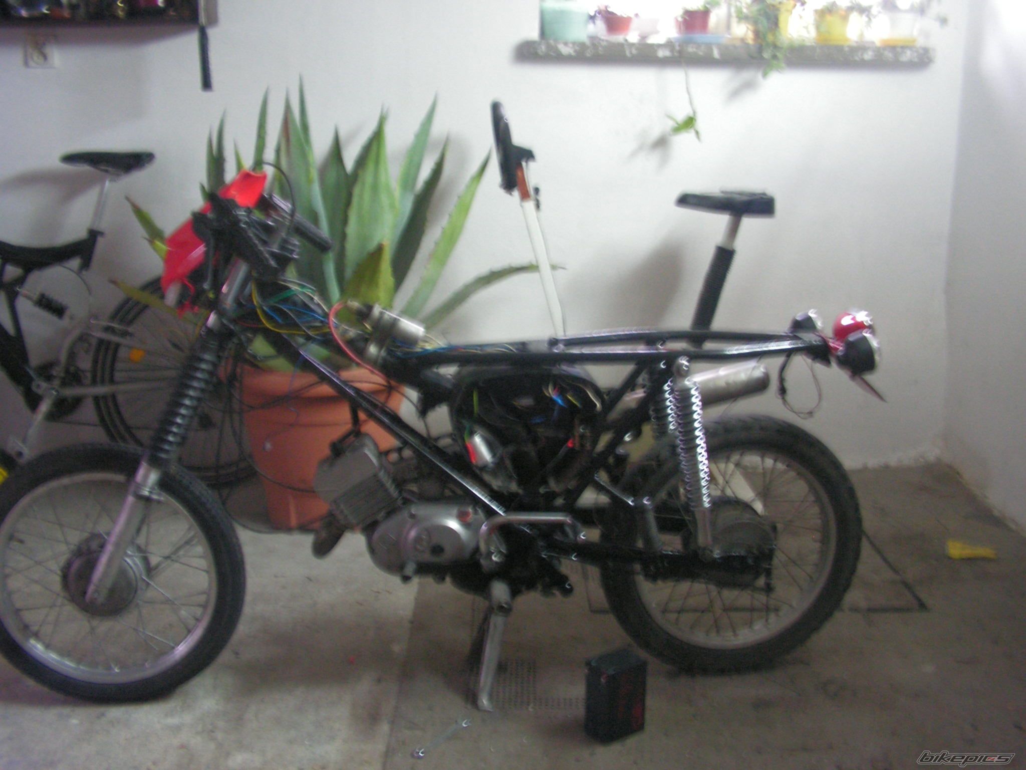 Photo 1699929