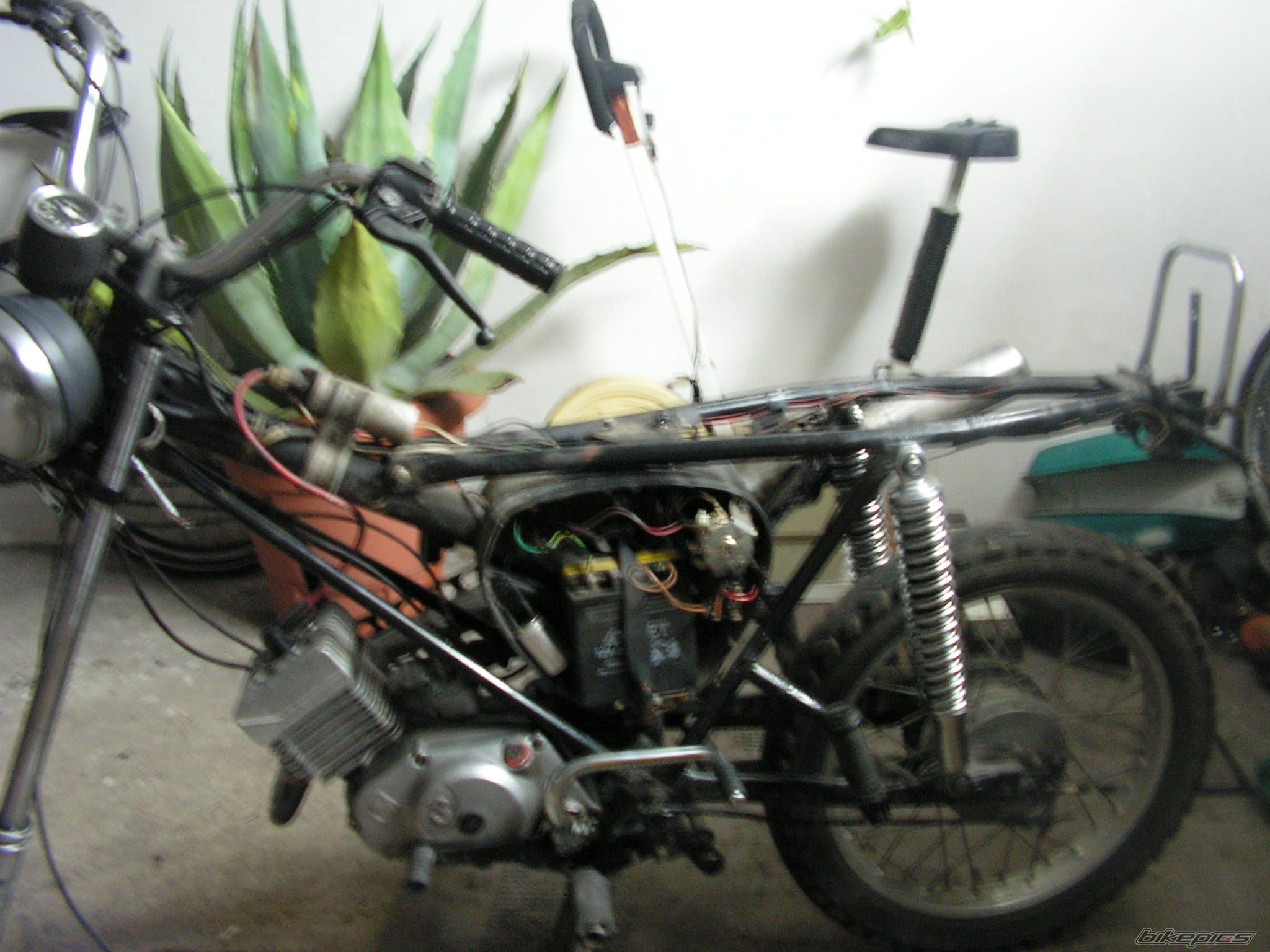 Photo 1699949