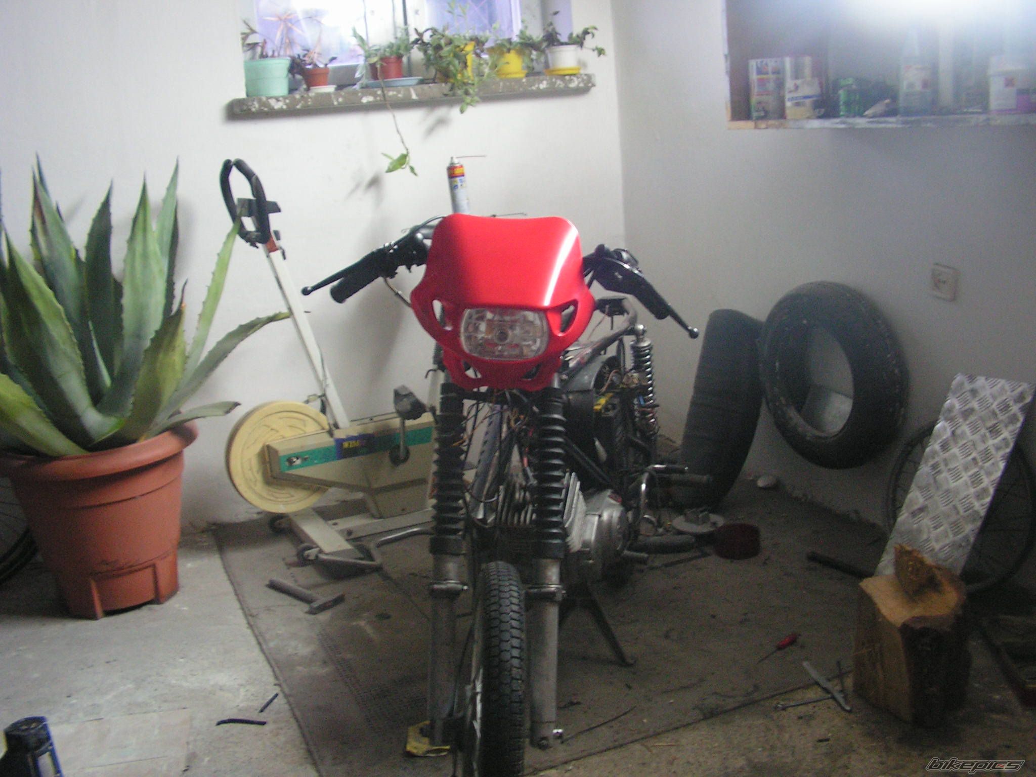 Photo 1699982