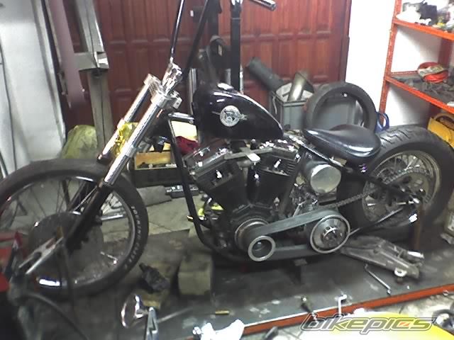 Photo 1700106