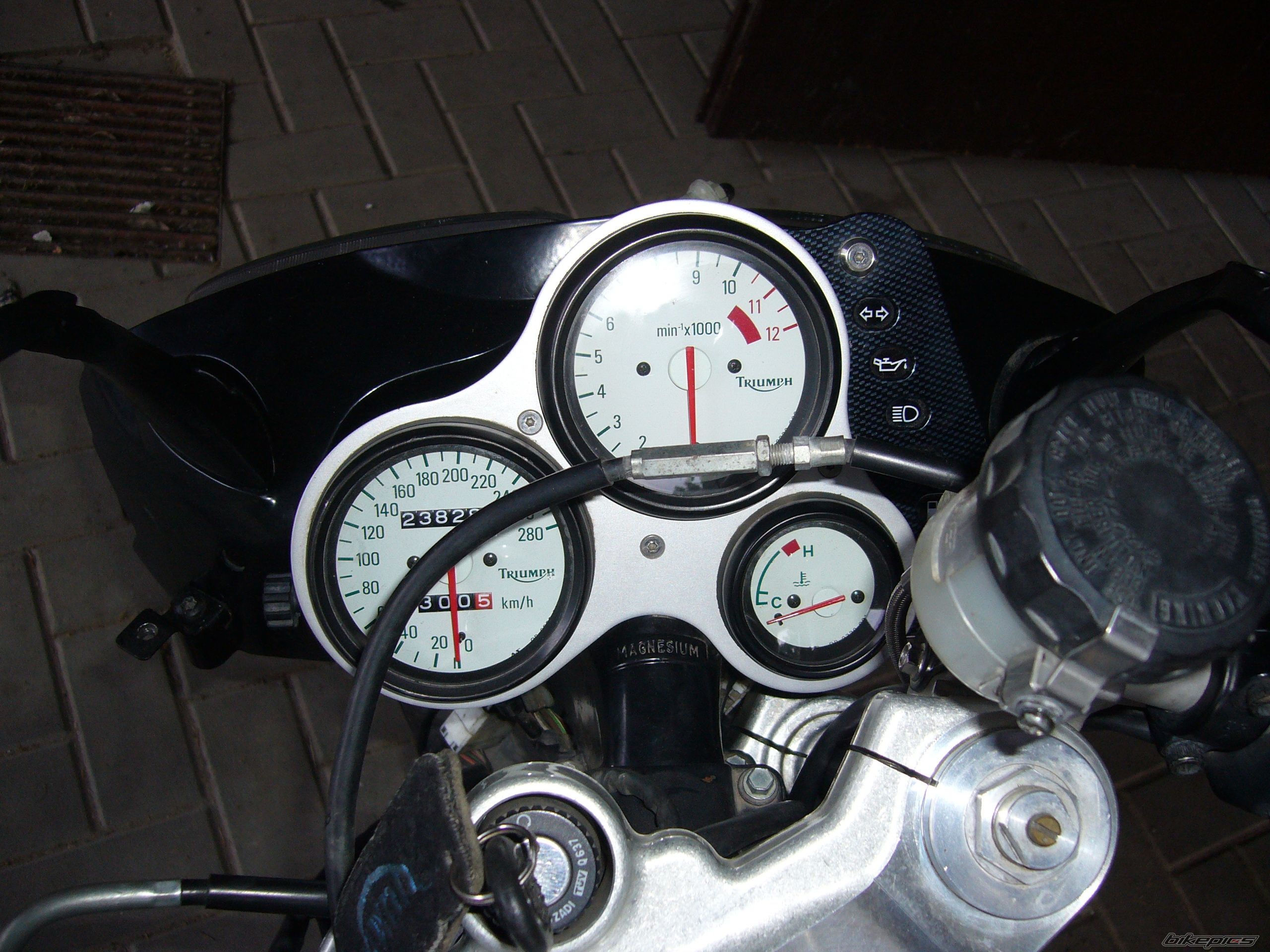 Photo 1700113