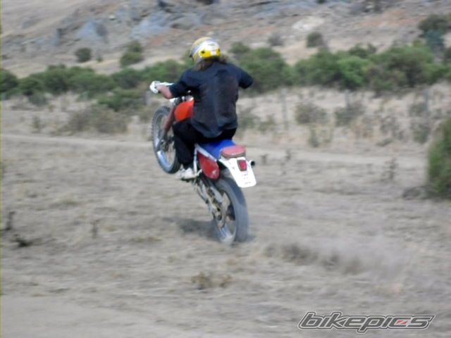 Photo 1700159